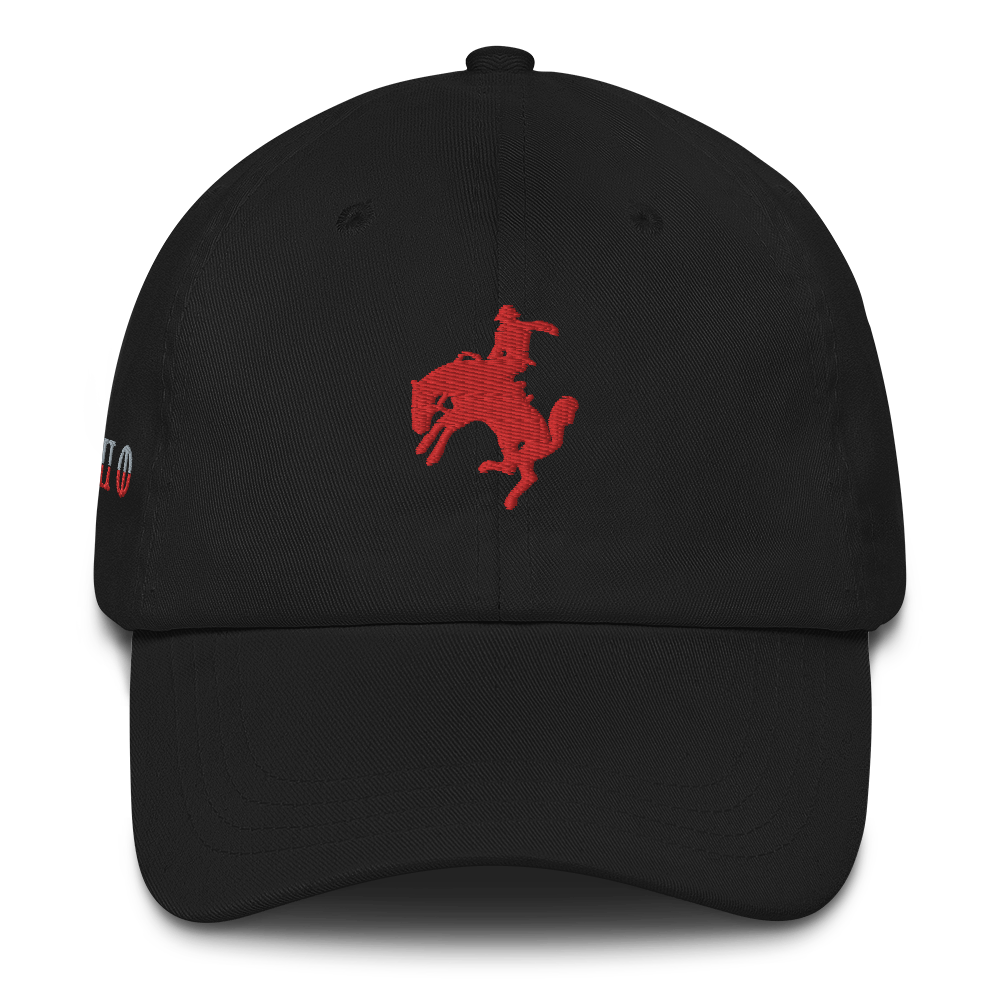 330 City Series Classic Chaney Dad Hat