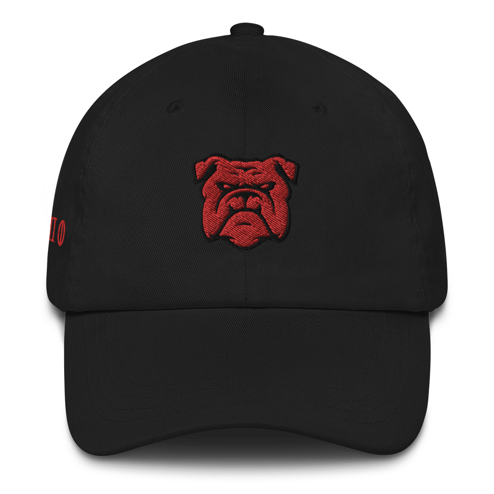 City Series 330 Classic North Dad Hat