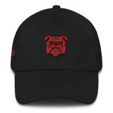 City Series 330 Classic North Dad Hat
