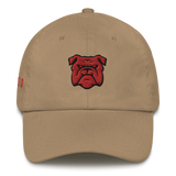 City Series 330 Classic North Dad Hat