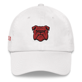 City Series 330 Classic North Dad Hat