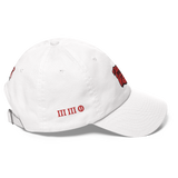 City Series 330 Classic North Dad Hat