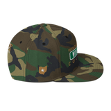 Homeland Windsor Ave WT CO Snapback Hat