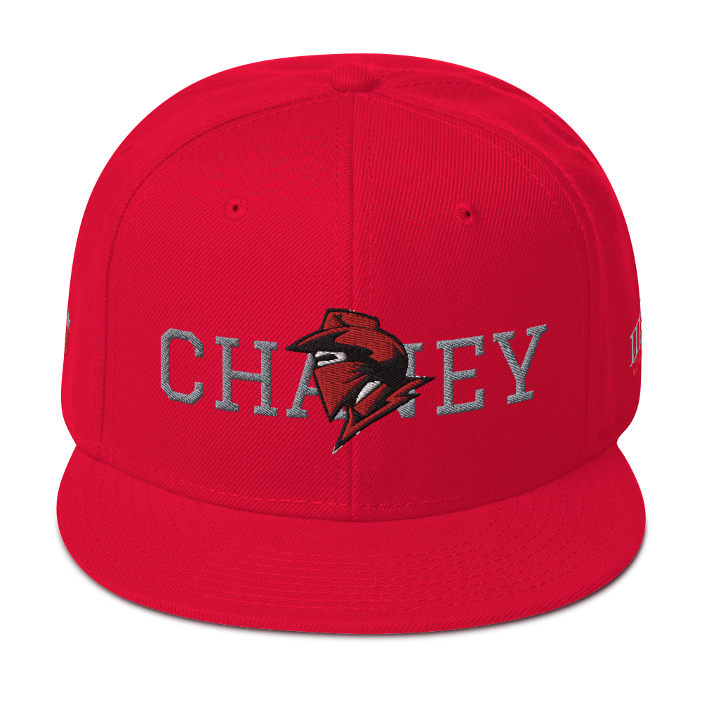 City Series 330 Chaney New Snapback Hat