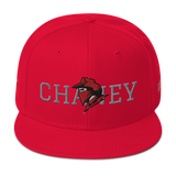 City Series 330 Chaney New Snapback Hat