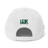 Streets Ford Rd Albion MI Snapback Hat