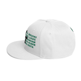 Windsor Terrace WT Streets 24 Snapback Hat
