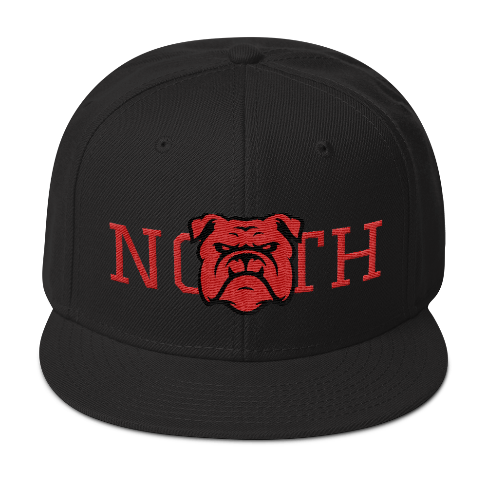 330 City Series Special North Snapback Hat