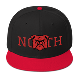 330 City Series Special North Snapback Hat