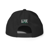 City Nighst Delavan Dr Snapback Hat