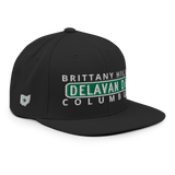 City Nighst Delavan Dr Snapback Hat