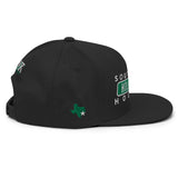 City Nights Holloway HOU Snapback Hat