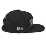 Streets Livingston Ave CO Walnut Ridge 4841 Snapback Hat