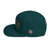 Columbus Northland Classic Rmx Gold Snapback Hat