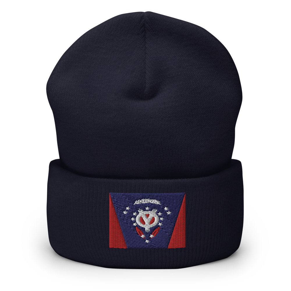 Youngstown Flag Cuffed Beanie