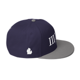 313 Classic Stateside LTD Snapback Hat