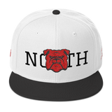 330 City Series Special North Snapback Hat