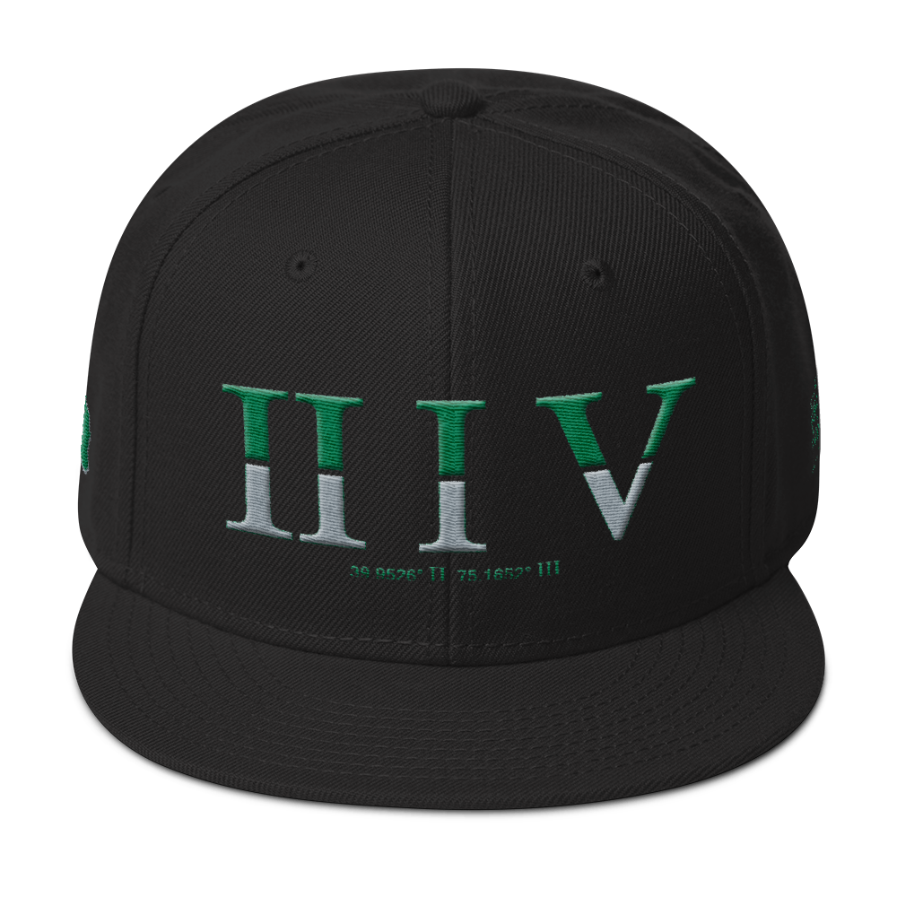 215 GG Stateside LTD Snapback Hat