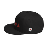 Columbus Public Central Vintage Snapback Hat