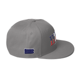215 Landmark Stateside LTD Snapback Hat