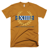 Victorious 13x TOR
