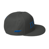 901 Stateside LTD Snapback Hat