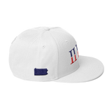 215 Landmark Stateside LTD Snapback Hat