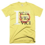 Veni Vidi Vici Rmx