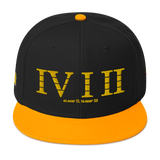 412 BlackAndYellow Stateside LTD Snapback Hat