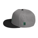 Powered by The People Snapback Hat