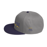 317 Split Stateside LTD Snapback Hat