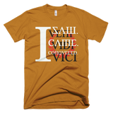 Veni Vidi Vici Rmx