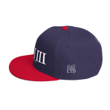 313 Classic Stateside LTD Snapback Hat