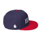 313 Classic Stateside LTD Snapback Hat