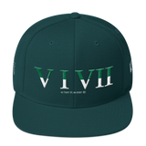 517 Stateside LTD Snapback Hat