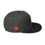 DNA Level C Snapback Hat