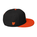 DNA Level C Snapback Hat