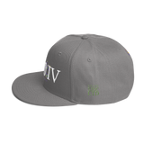 504 Mardi G Stateside LTD Snapback Hat