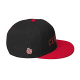 Columbus Public Central Vintage Snapback Hat