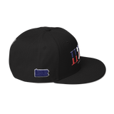 215 Landmark Stateside LTD Snapback Hat