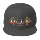 415 Landmark Stateside LTD Snapback Hat