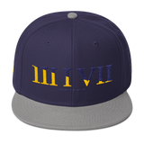 317 Split Stateside LTD Snapback Hat