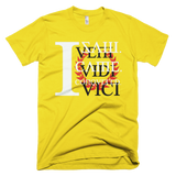 Veni Vidi Vici Rmx