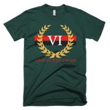 Victorious 6x CHI