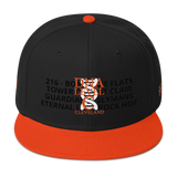 DNA Level C Snapback Hat