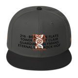 DNA Level C Snapback Hat