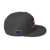 215 Landmark Stateside LTD Snapback Hat