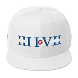 317 Indy Stateside LTD Snapback Hat