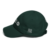 330 Stateside LTD Dad Hat