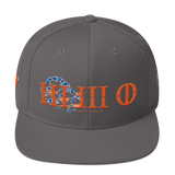 330 Pride 2.0 Stateside LTD Snapback Hat